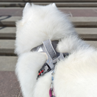 Magnetic Dog Harness with Handle - Easy On, No-Pull Design