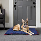 Jeffers Pet Washable Comfy Dog Pillow for Crates, Carriers, or Lounging